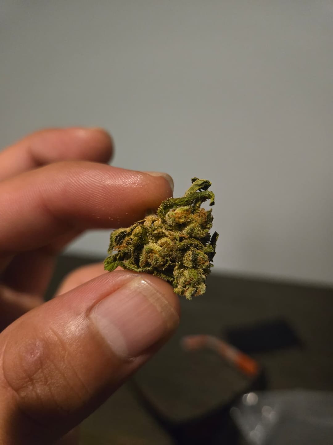 Customer photo review of Jungle Gelato - 28 Grams - Indica