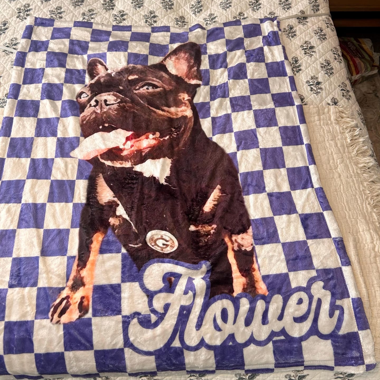 Customer photo review of Custom Pet Photo Blanket: Checkerboard Dog or Cat Blanket