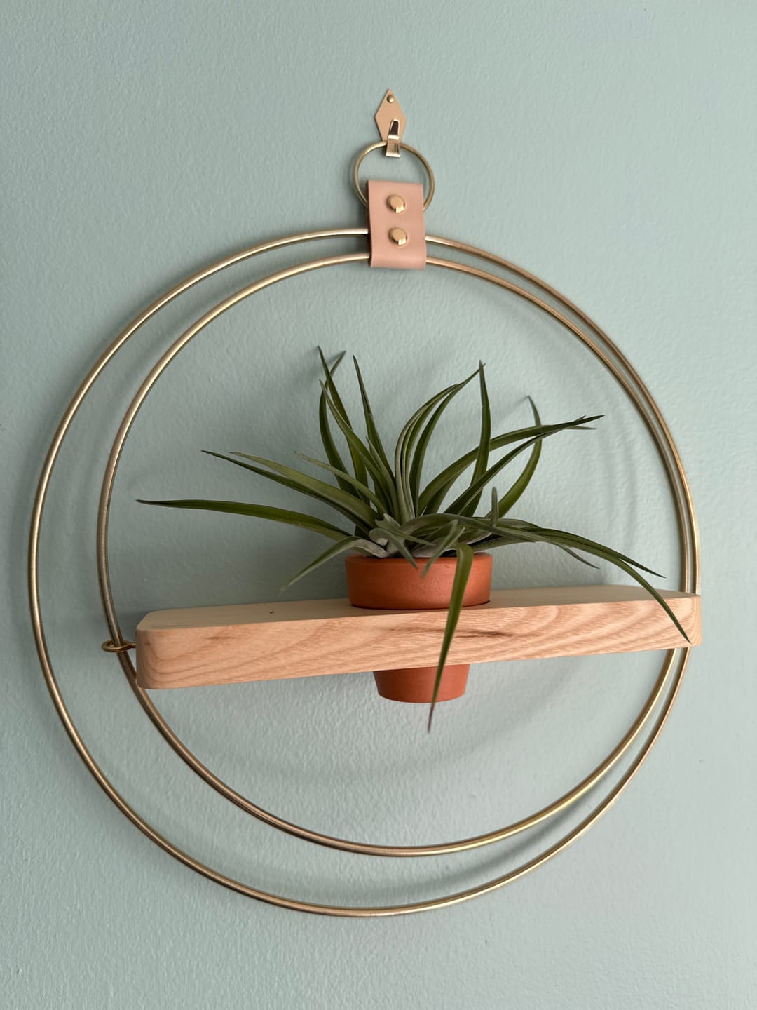 Customer photo review of Air Plant Shelf + Pot Trio