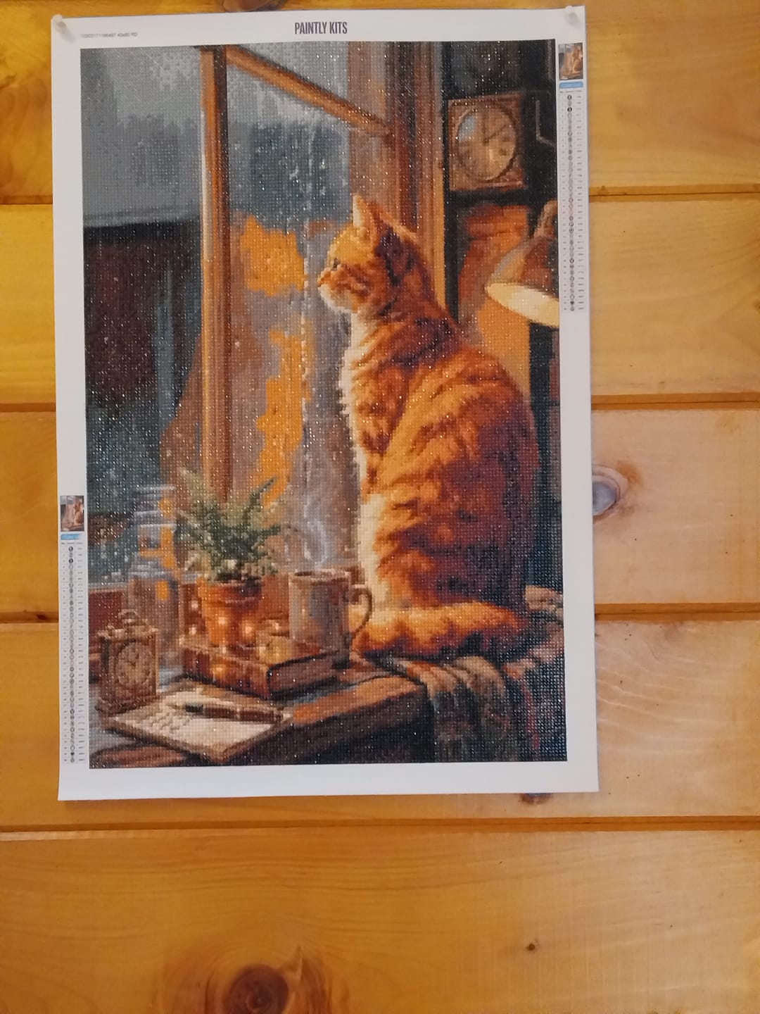 Customer photo review of Cozy Cat Rainy Window (Diamond Painting)
