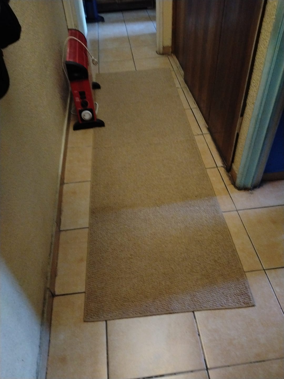 Customer photo review of Alfombra Estilo Yute Tejida Para Living Resistente Mascotas