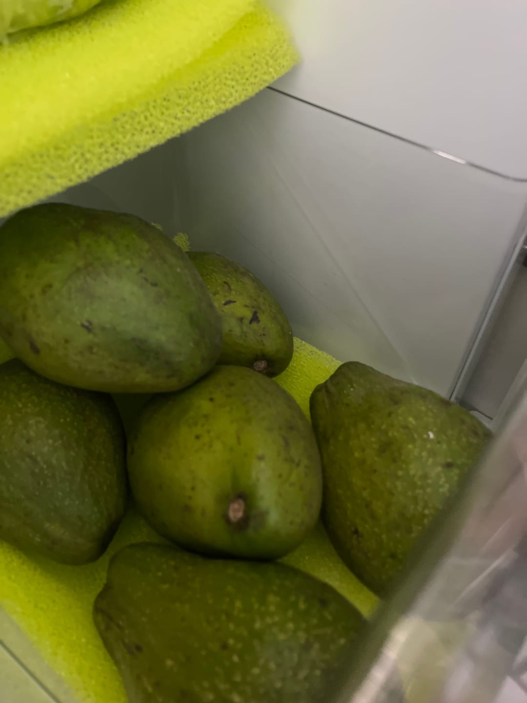 Customer photo review of Avocado "Jumbo" Bio & Fair Kipepeo
