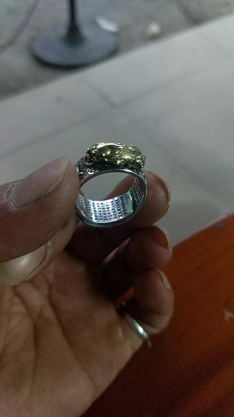 Customer photo review of FREE Today: FengShui Pixiu Mantra Ring for Wealth Success & Protection