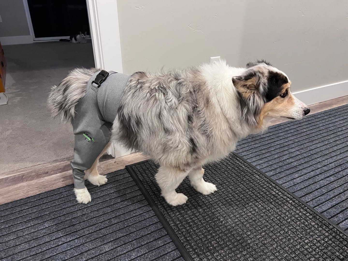 Customer photo review of Lick Sleeve® Leg Sleeve