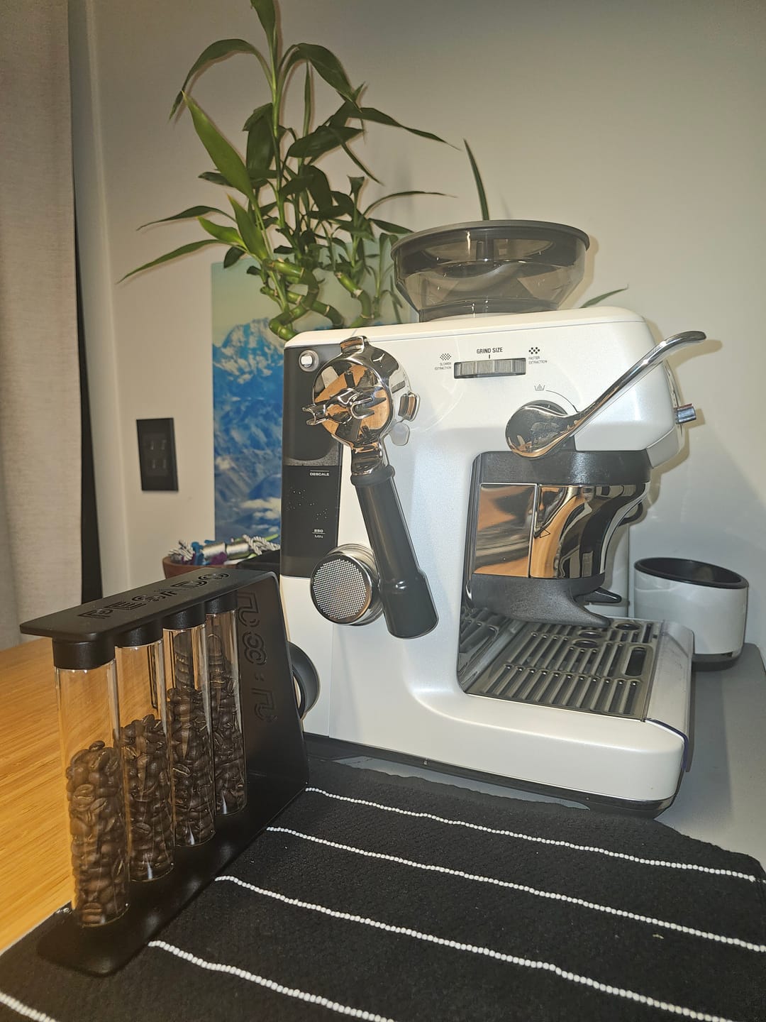 Customer photo review of Pesado Single Dose Coffee Bean Stand + 4 Pack of Bean Tubes