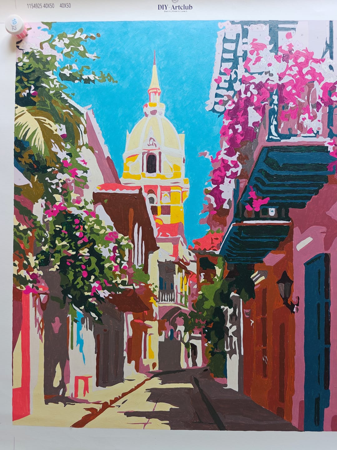 Customer photo review of Cartagena | Paint by Number