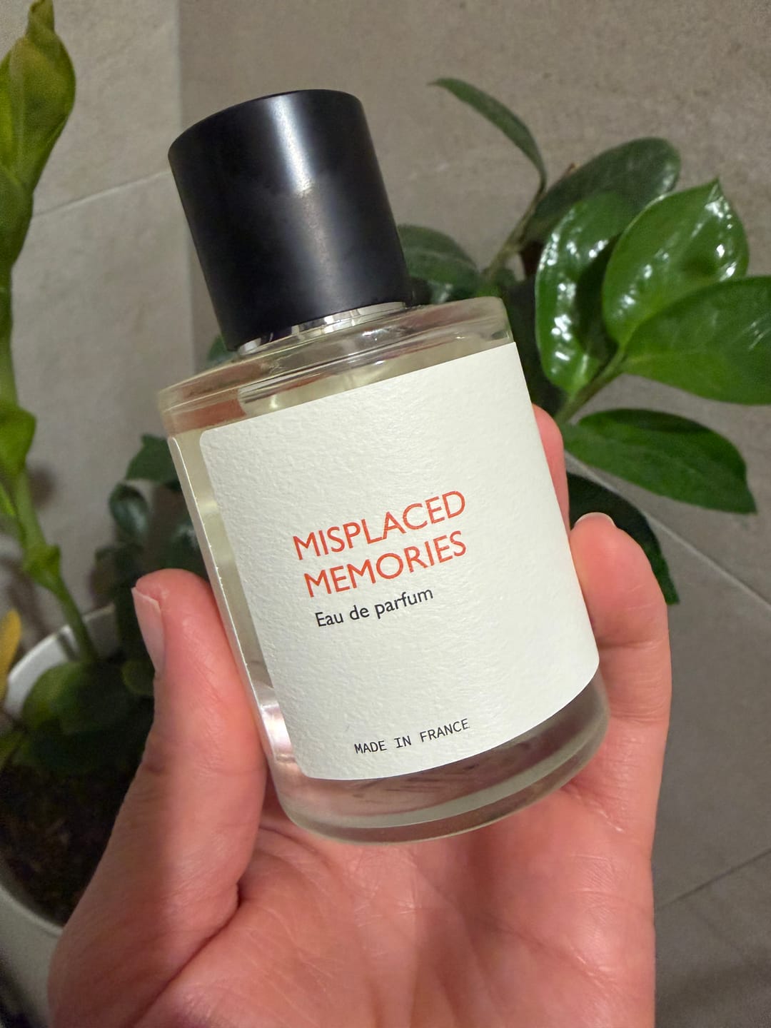 Customer photo review of Misplaced Memories