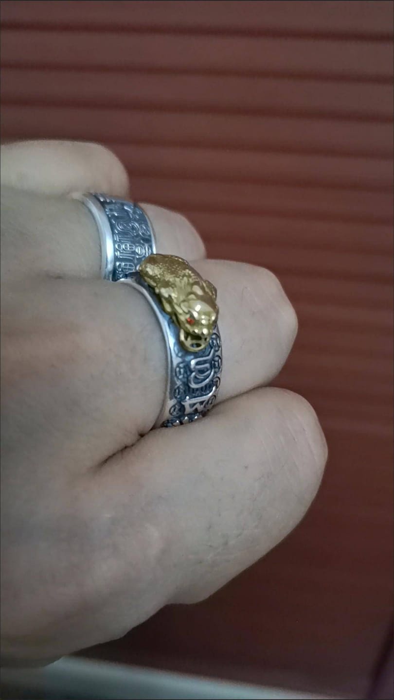 Customer photo review of FREE Today: FengShui Pixiu Mantra Ring for Wealth Success & Protection