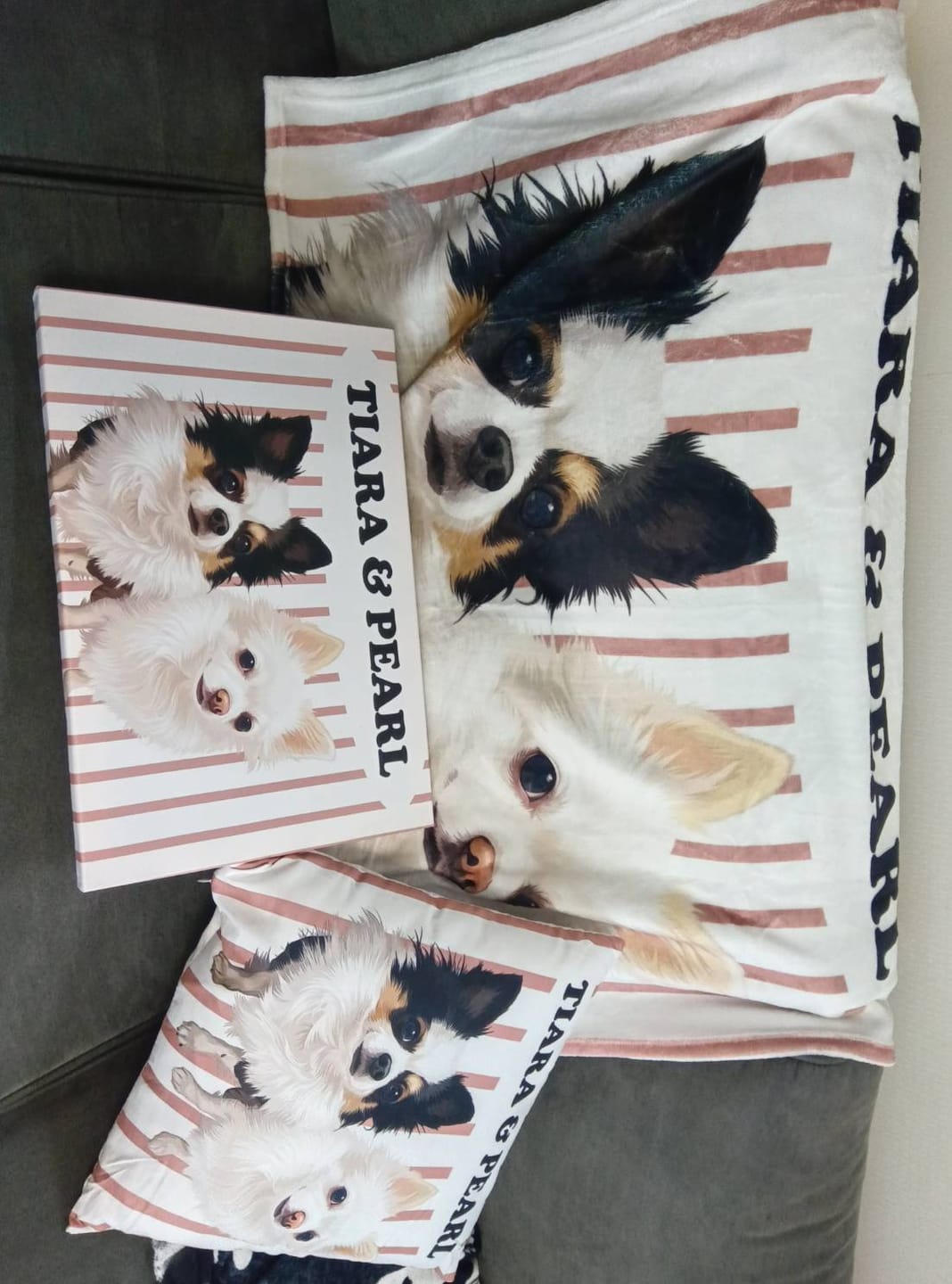 Customer photo review of Petcanva©オーダーメイド ペット似顔絵【3点セット】