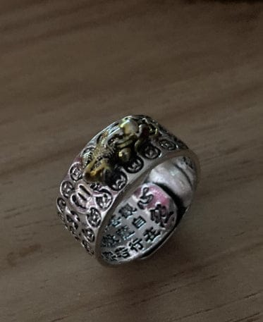 Customer photo review of FREE Today: FengShui Pixiu Mantra Ring for Wealth Success & Protection