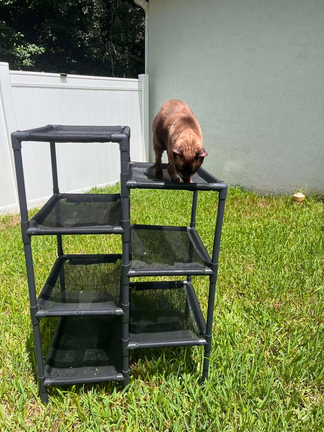Customer photo review of Durable Cat Tower - Haven