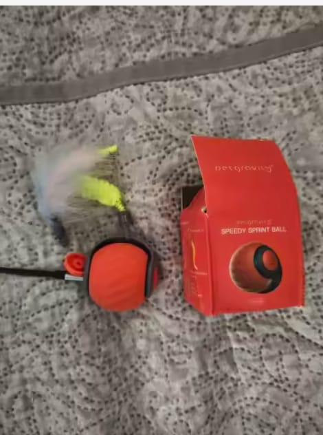Customer photo review of Pelota interactiva para gatos