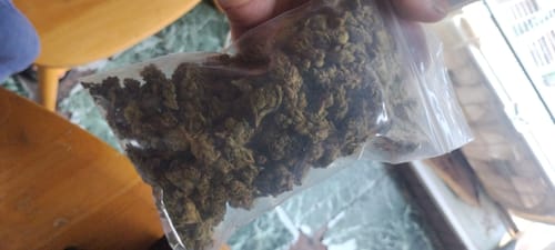 Customer photo review of Tropicana Cherry THCA Smalls