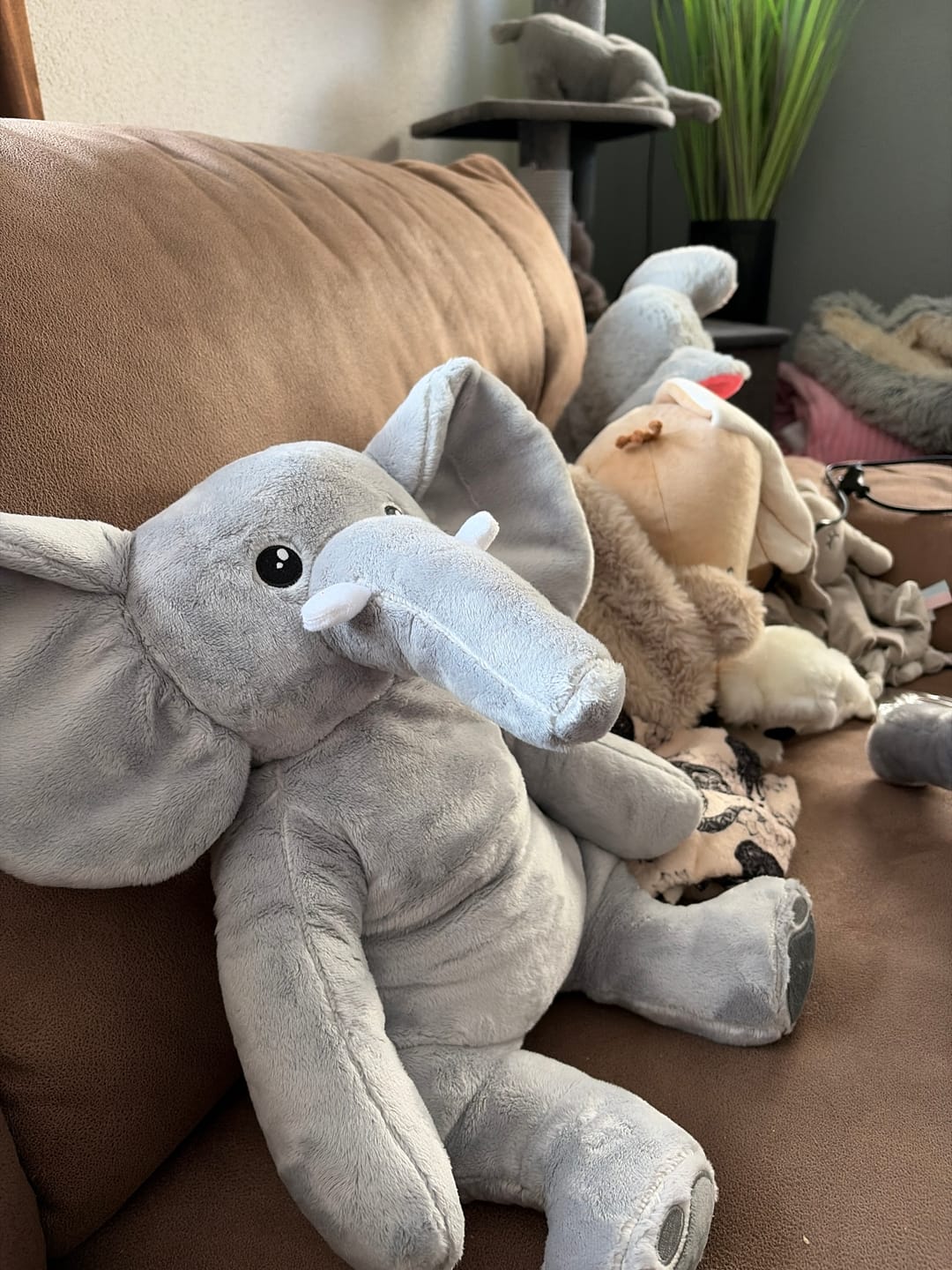 Customer photo review of Olifant Verzwaringsknuffel 2kg