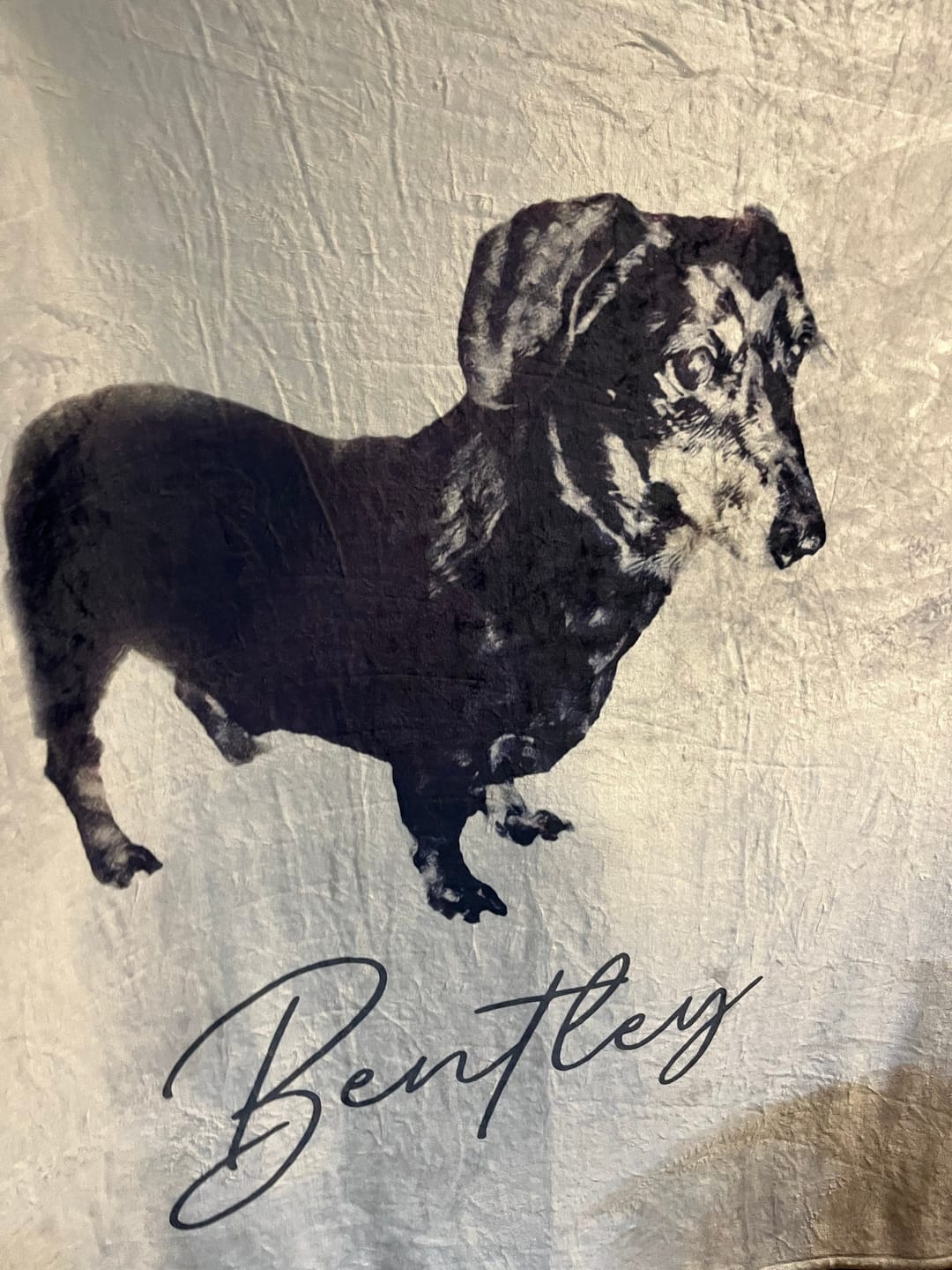Customer photo review of Custom Pet Portrait Blanket: Personalized Dog or Cat Photo Blanket