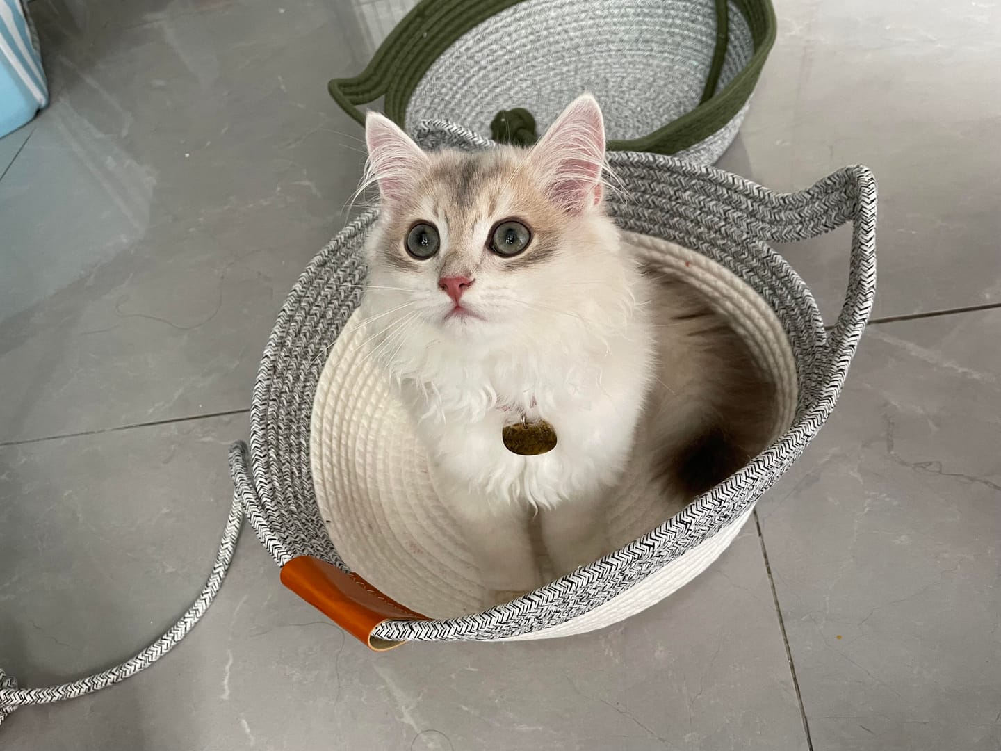 Customer photo review of Rattan Cat Bed