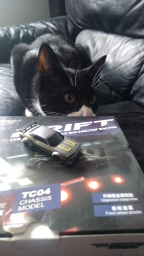 Customer photo review of Thrill Turbo Max