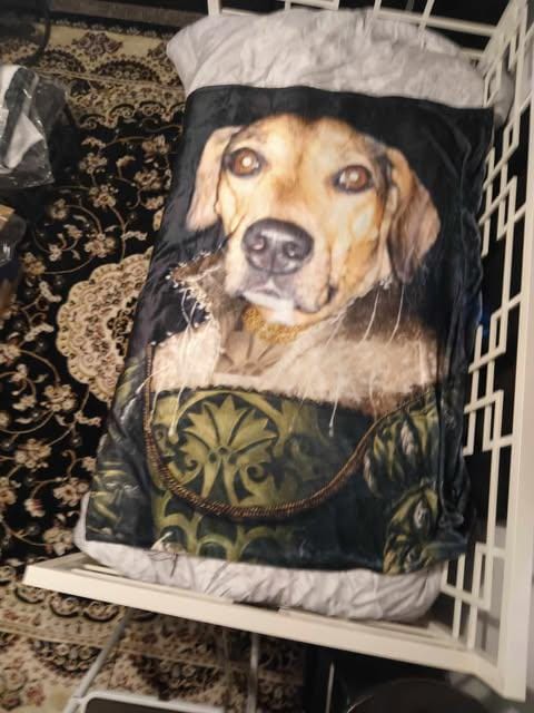 Customer photo review of Custom Royal Portrait Blanket: Personalized Renaissance Minky Blanket (50x60)