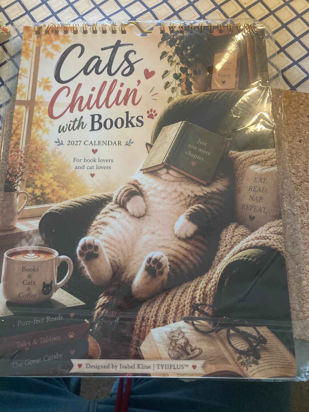 Customer photo review of Cats Chillin' with Books™ 2027 Wall Calendar | A4 Cozy Cat & Book Lover Calendar | Designed by Isabel Kline | TYIIPLUS™