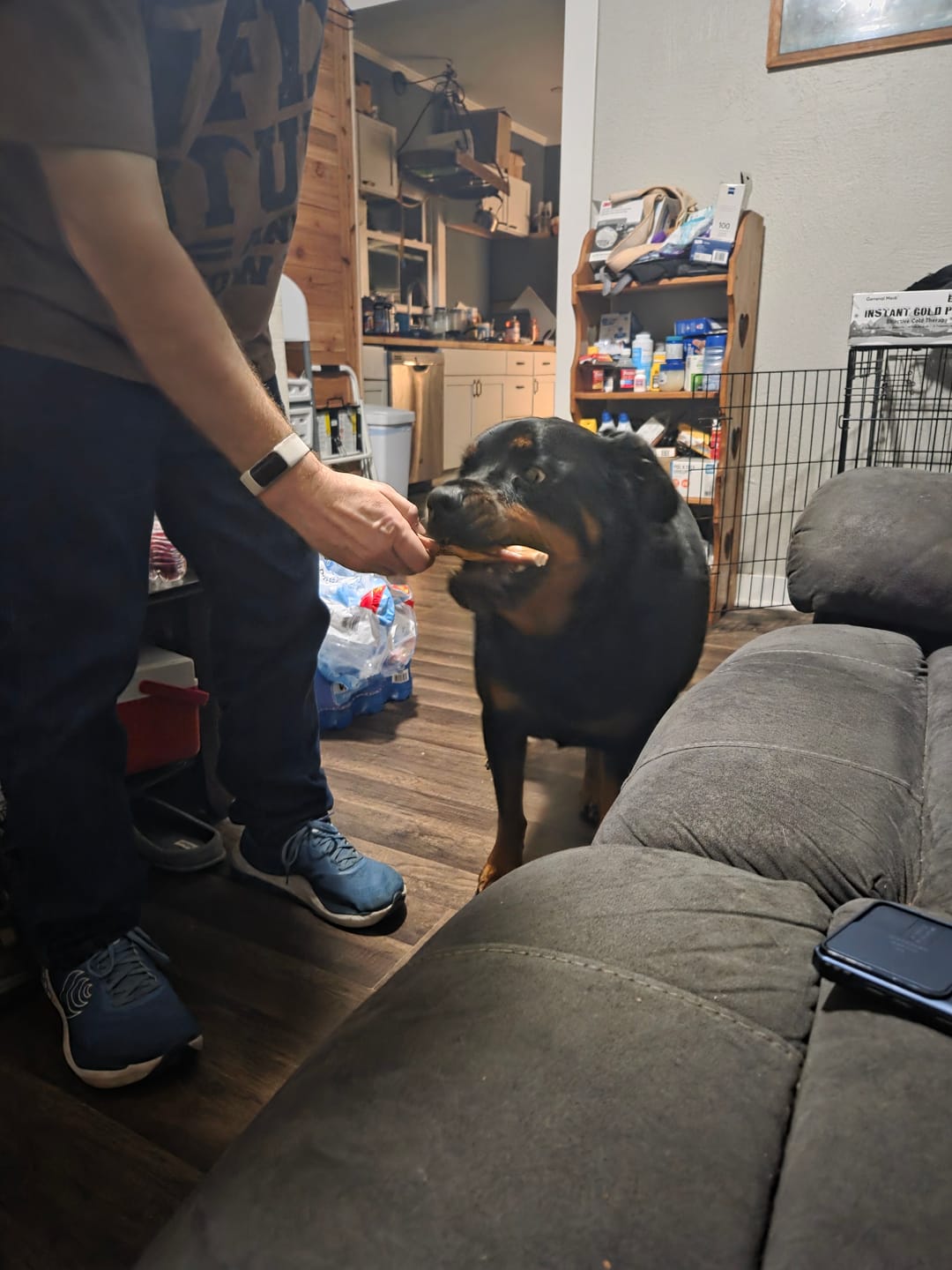 Customer photo review of 6 Inch Standard Braided Bully Stick
