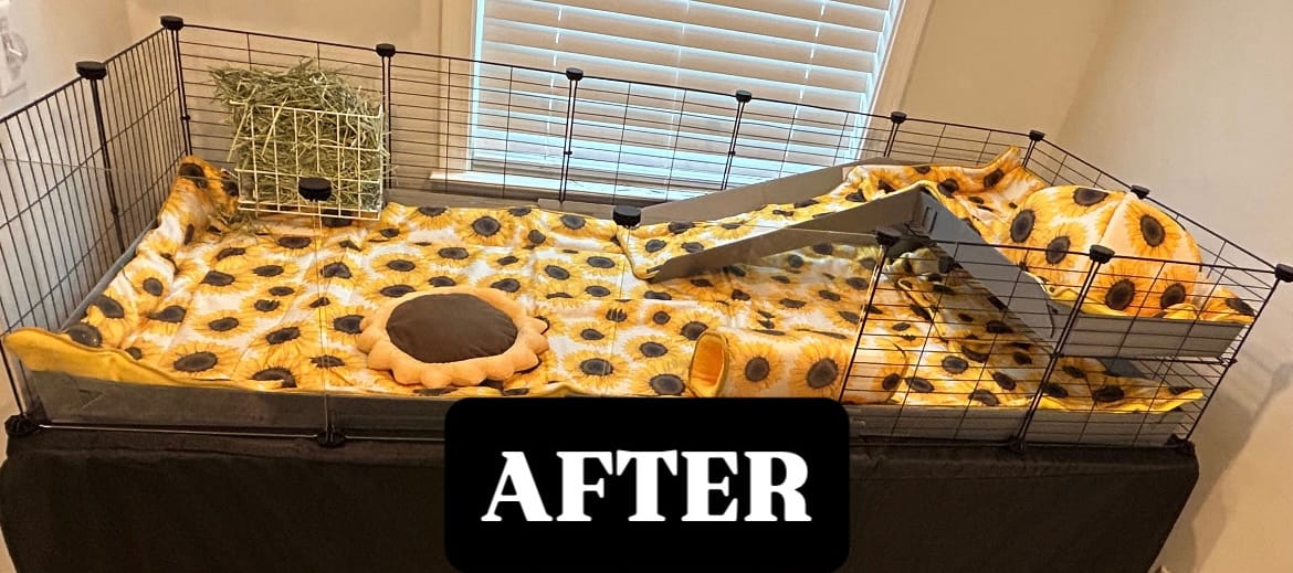Customer photo review of The Hide | Sunflower Collection