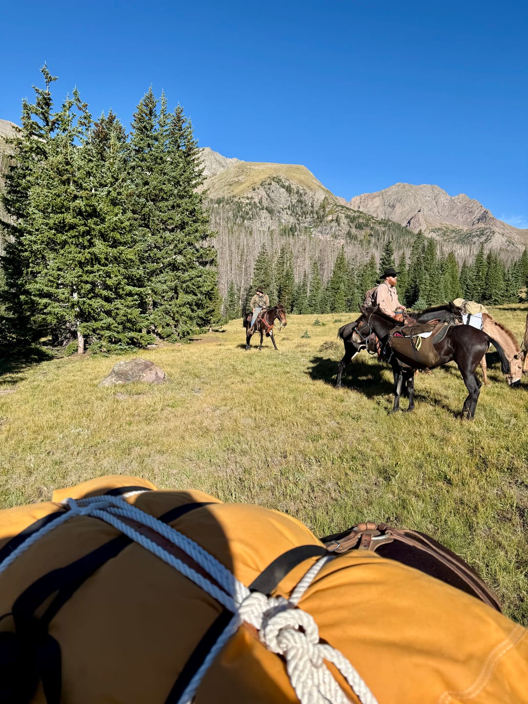 Customer photo review of Bedrock Pad