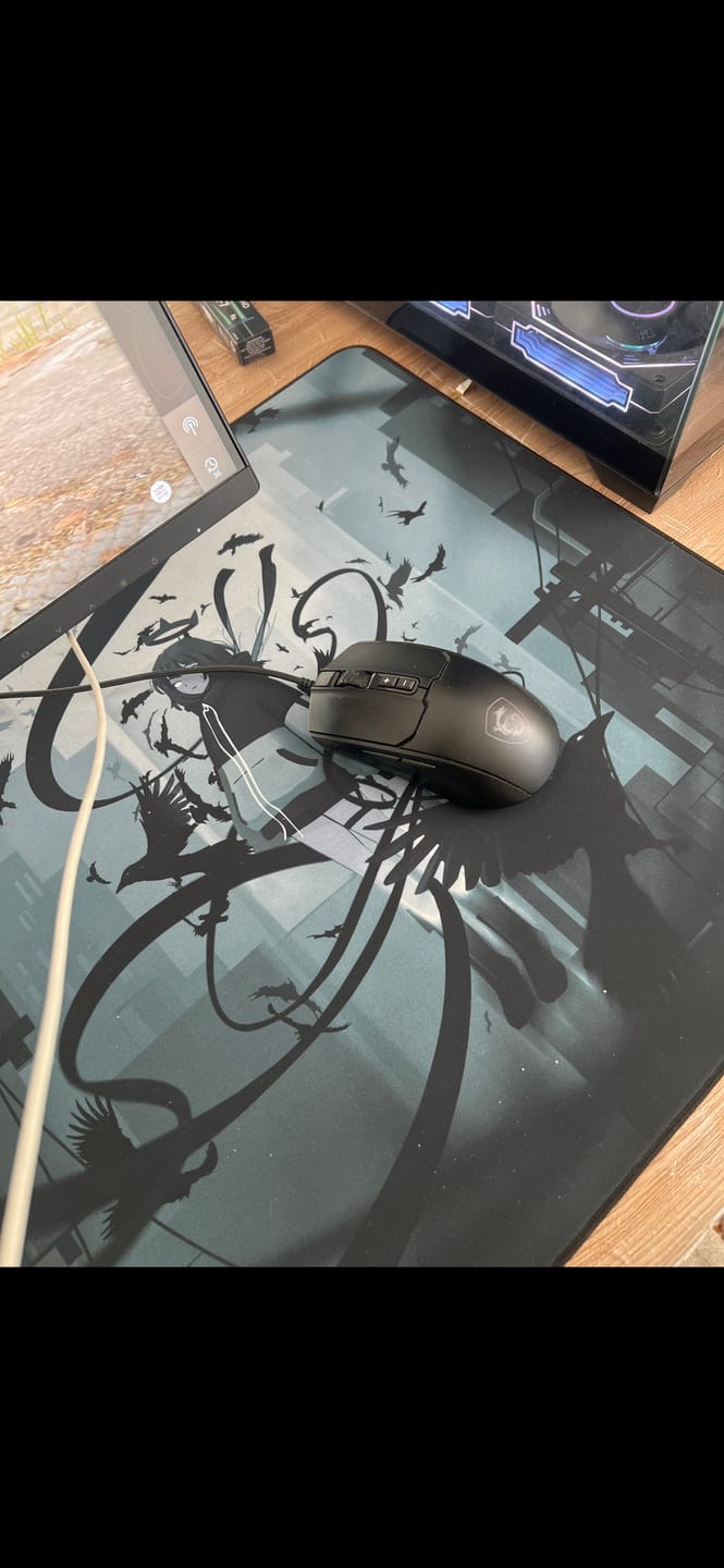 Customer photo review of Wraith Ace Series [Ravenfall] Limited Edition Poron Mousepad