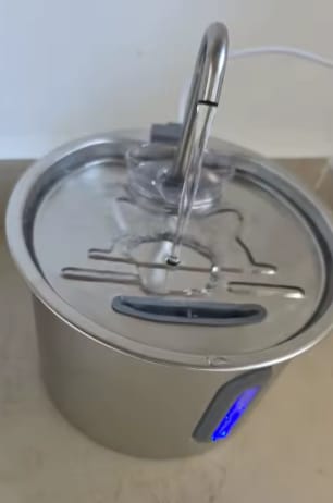 Customer photo review of Fuente de agua inoxidable para gatos