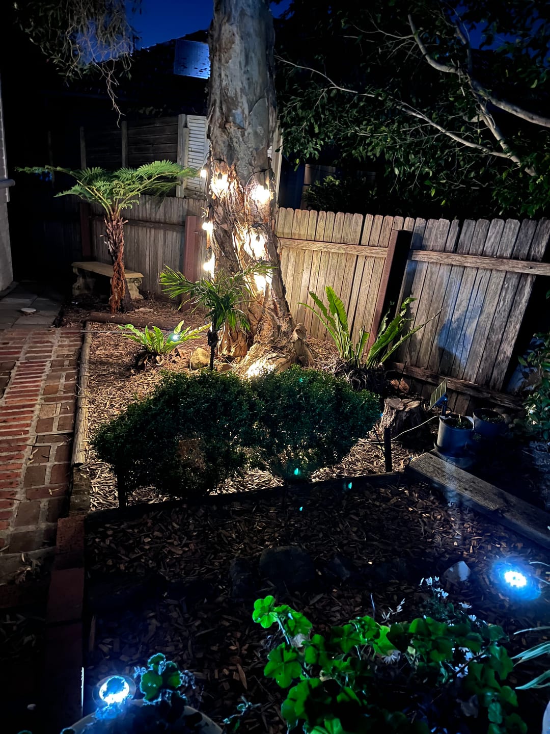 Customer photo review of SolaGarden™ Festoon Lights