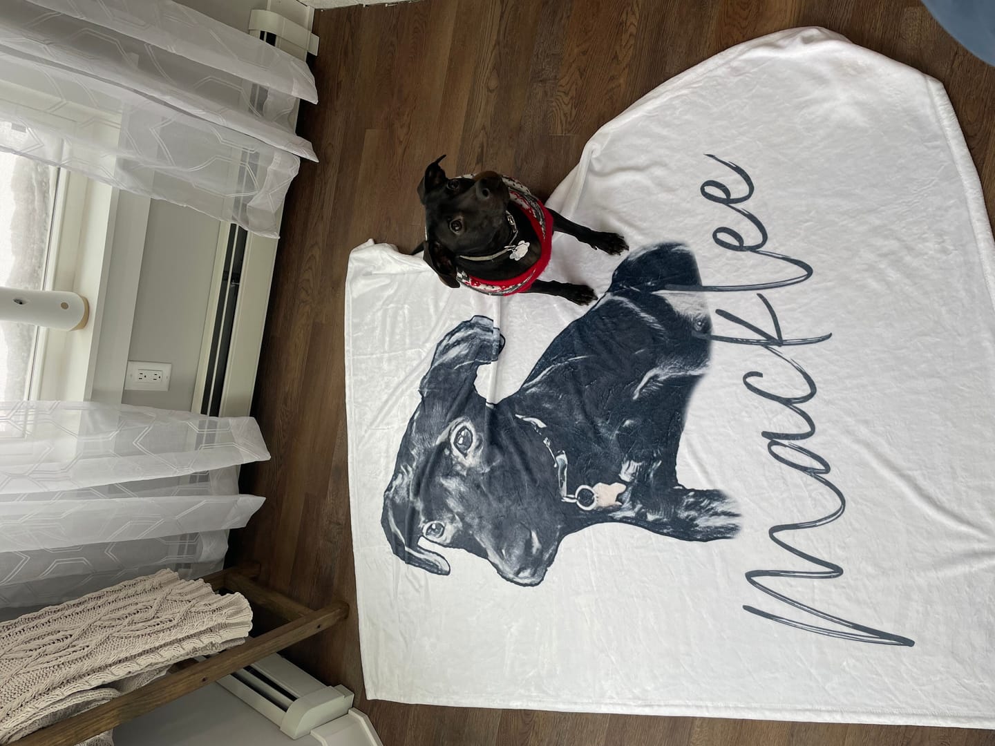 Customer photo review of Custom Pet Portrait Blanket: Personalized Dog or Cat Photo Blanket