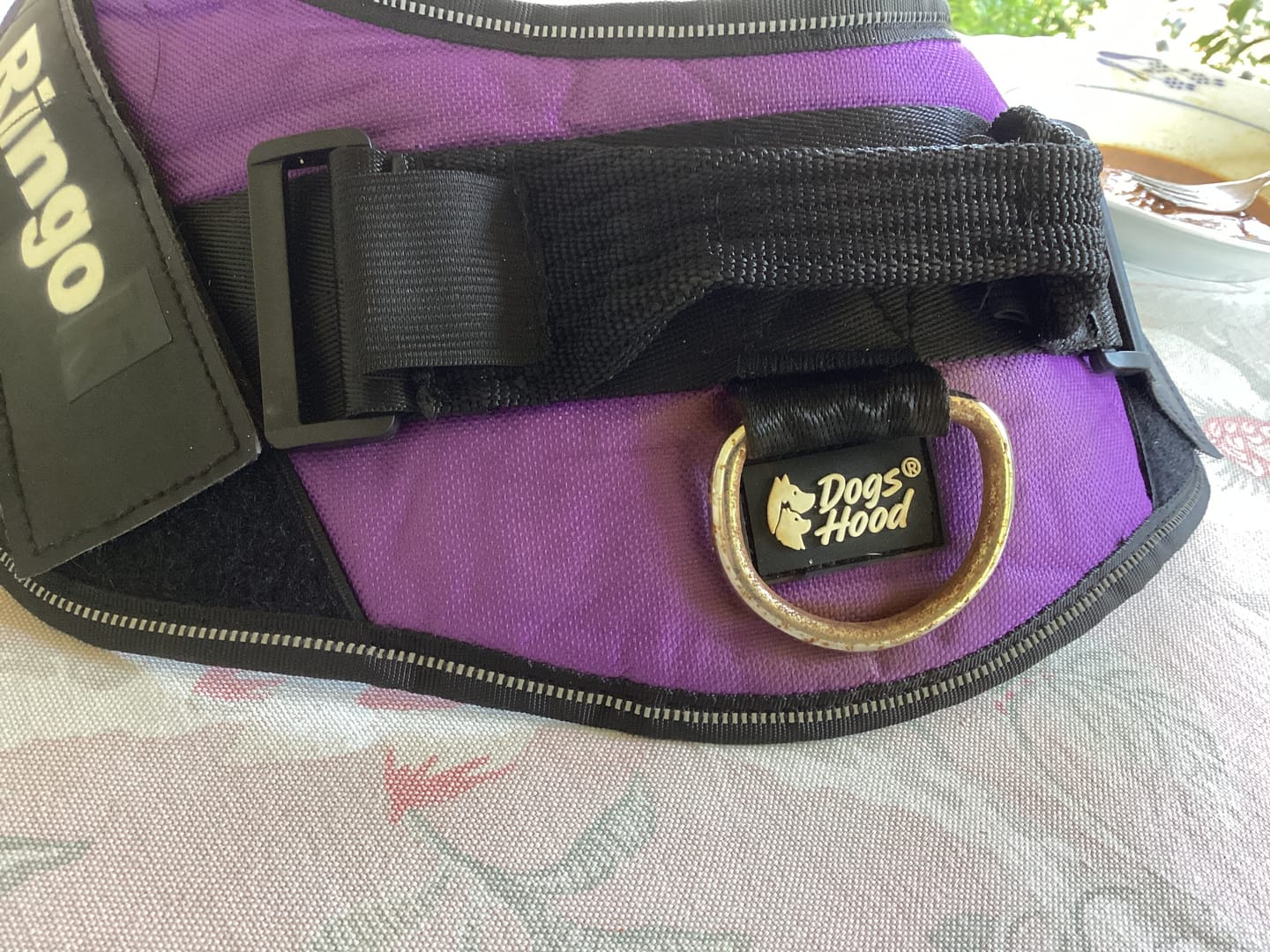 Customer photo review of Front D-Ring Attachment