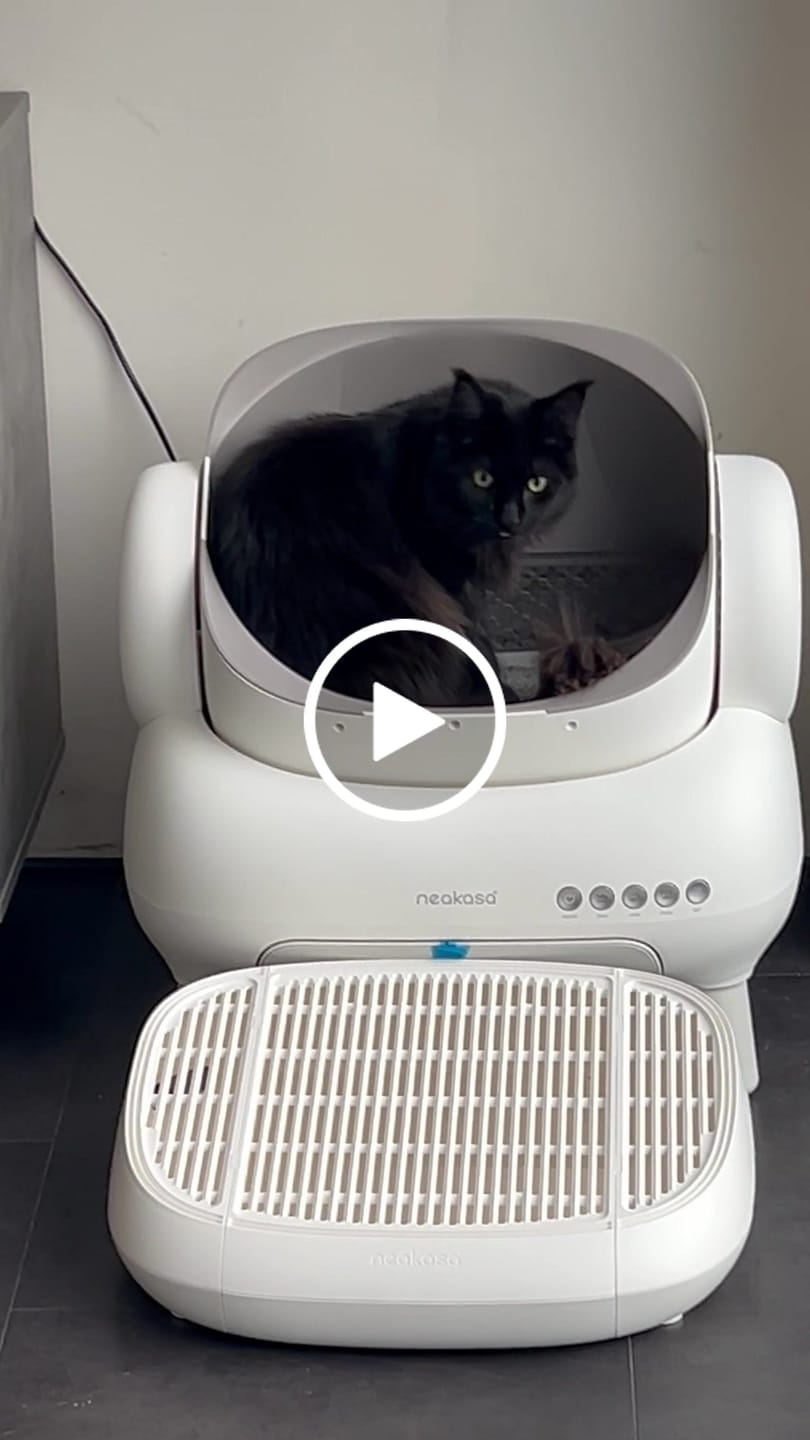 Customer video review of Neakasa M1 Plus Lite - Litière automatique à ouverture supérieure pour chats