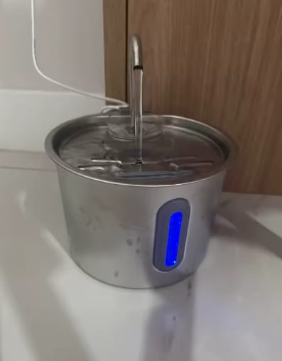 Customer photo review of Fuente de agua inoxidable para gatos