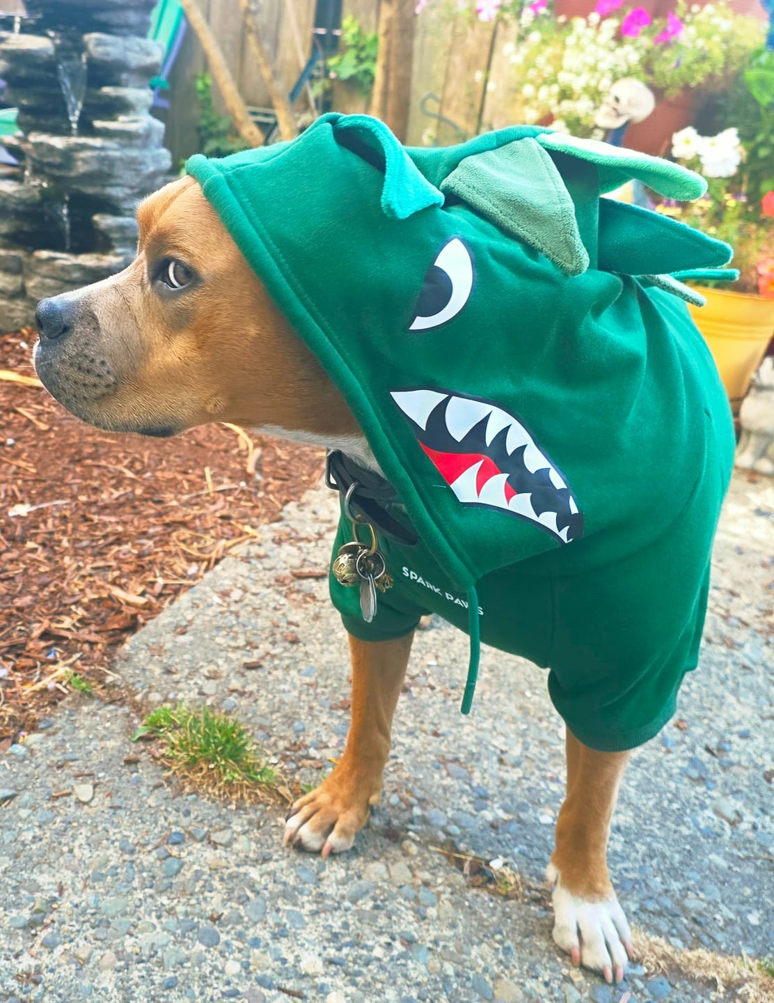 Customer photo review of Halloween Dog Hoodie - Dinosaur