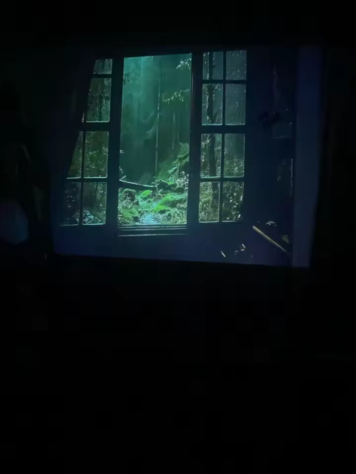 Customer photo review of Projecteur cinéma maison Ultra HD