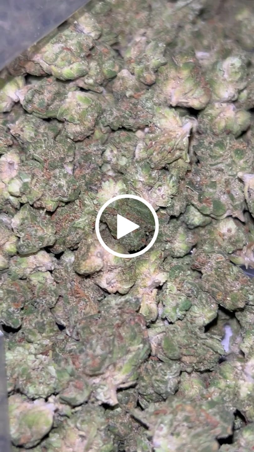 Customer video review of Light Assist THCA Smalls