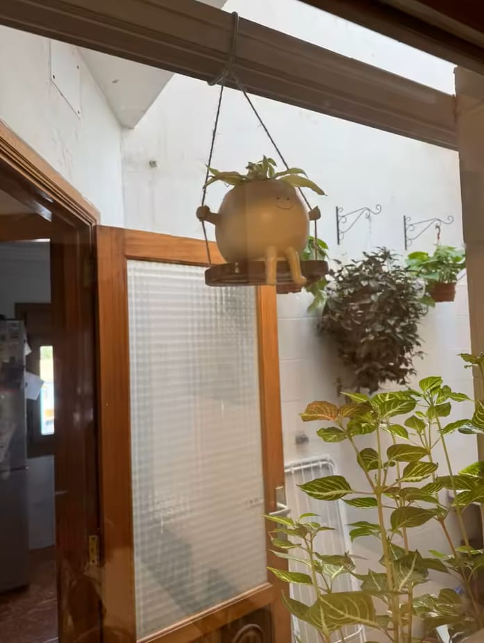Customer photo review of Infinity™ Plant Pot