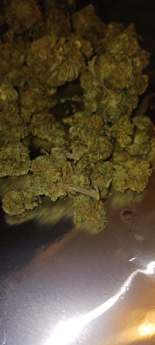 Customer photo review of GMO - 28 Grams - Indica