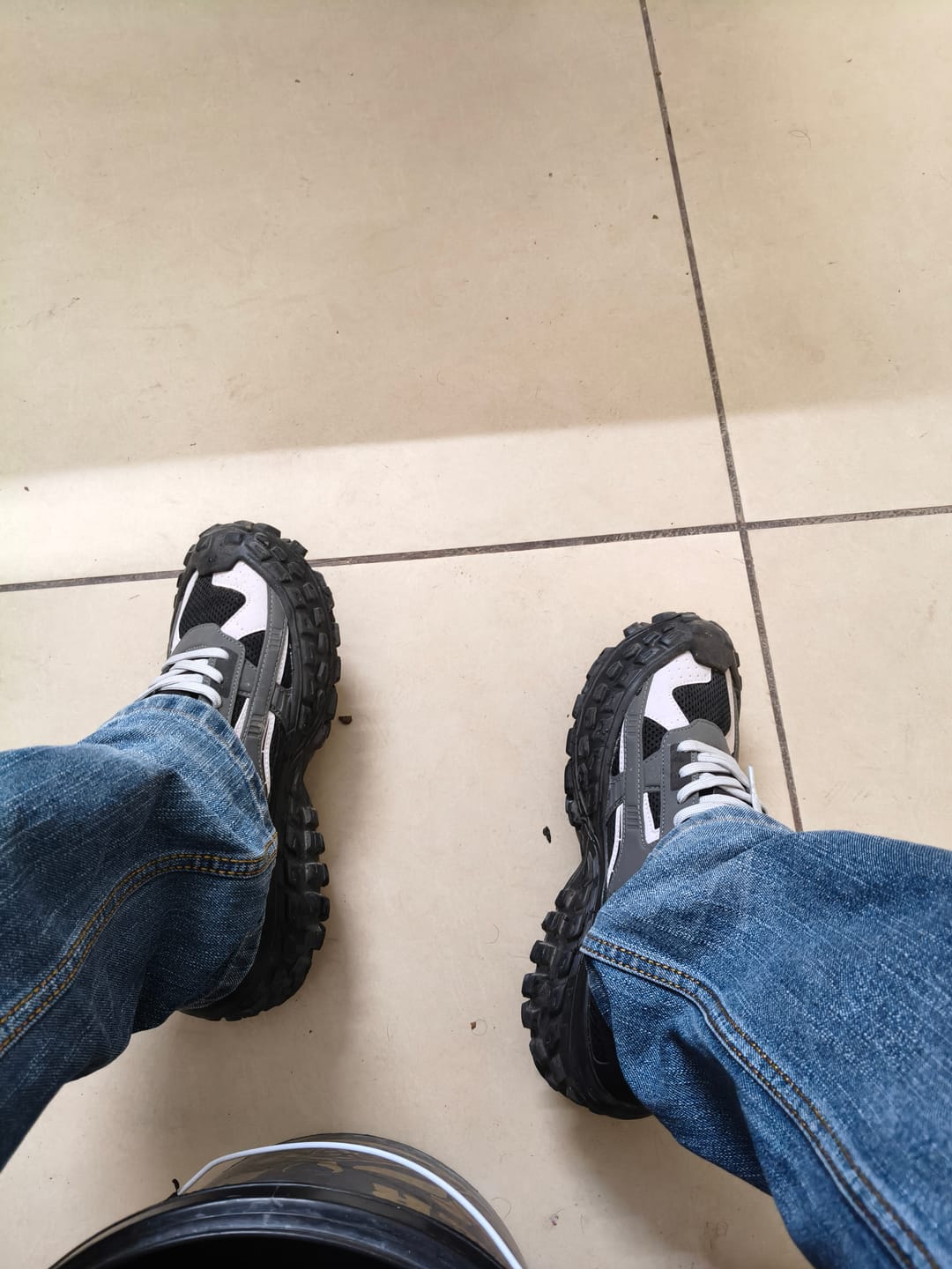 Customer photo review of COLOSSUS