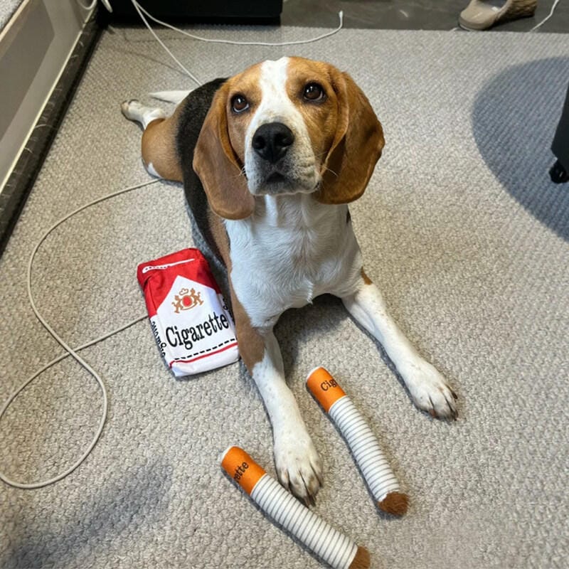 Customer photo review of Plush Cigarette Toy Set