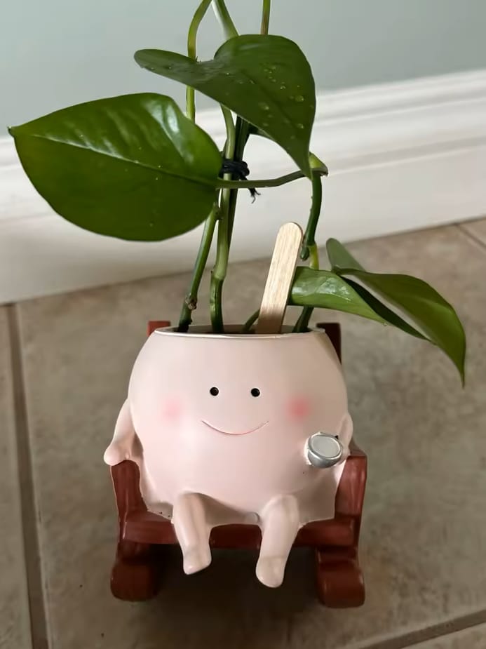 Customer photo review of Infinity™ Plant Pot