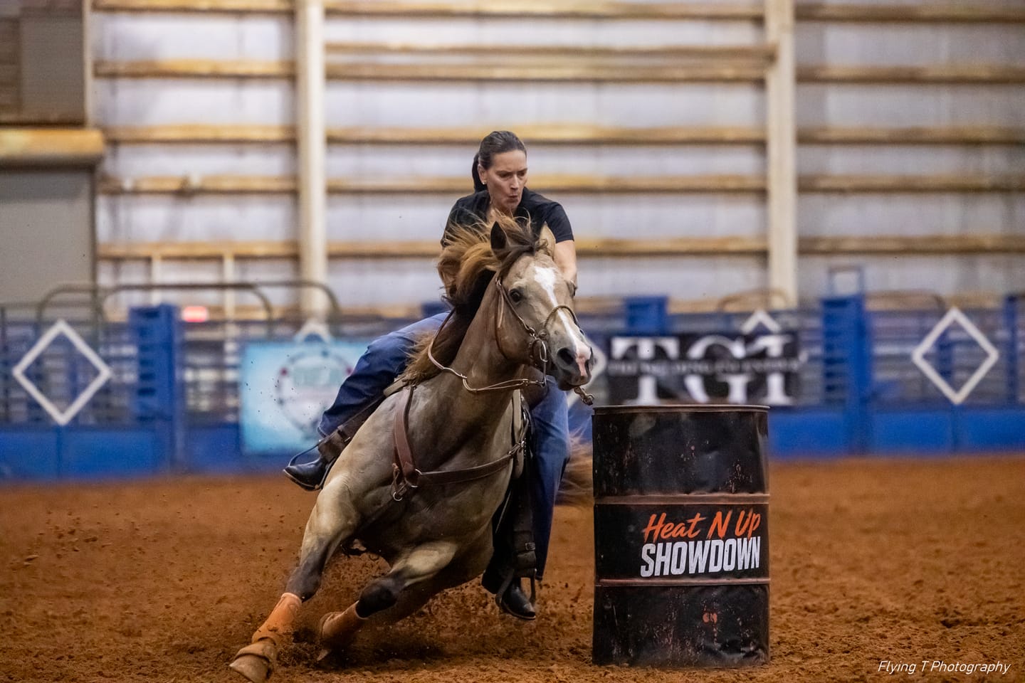 Customer photo review of OptiWize Collagen +Plus Horse Joint Supplement