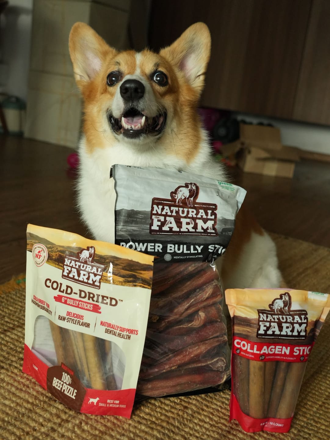 Customer photo review of 6 Inch Beef Collagen Sticks