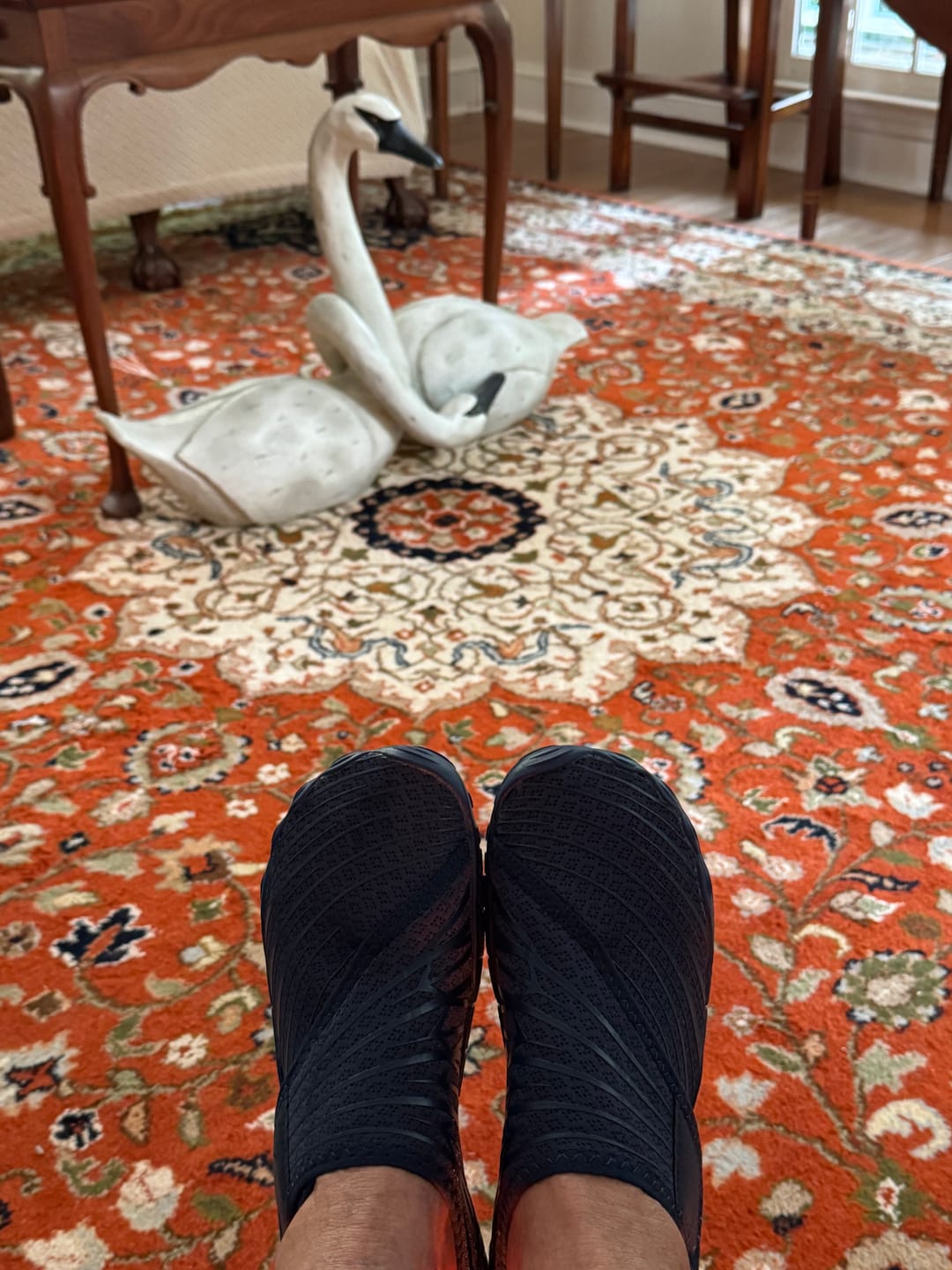 Customer photo review of Solyn-BOGO