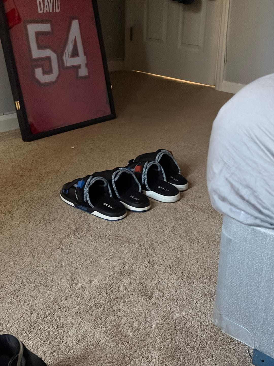 Customer photo review of Mystery DracoSlides