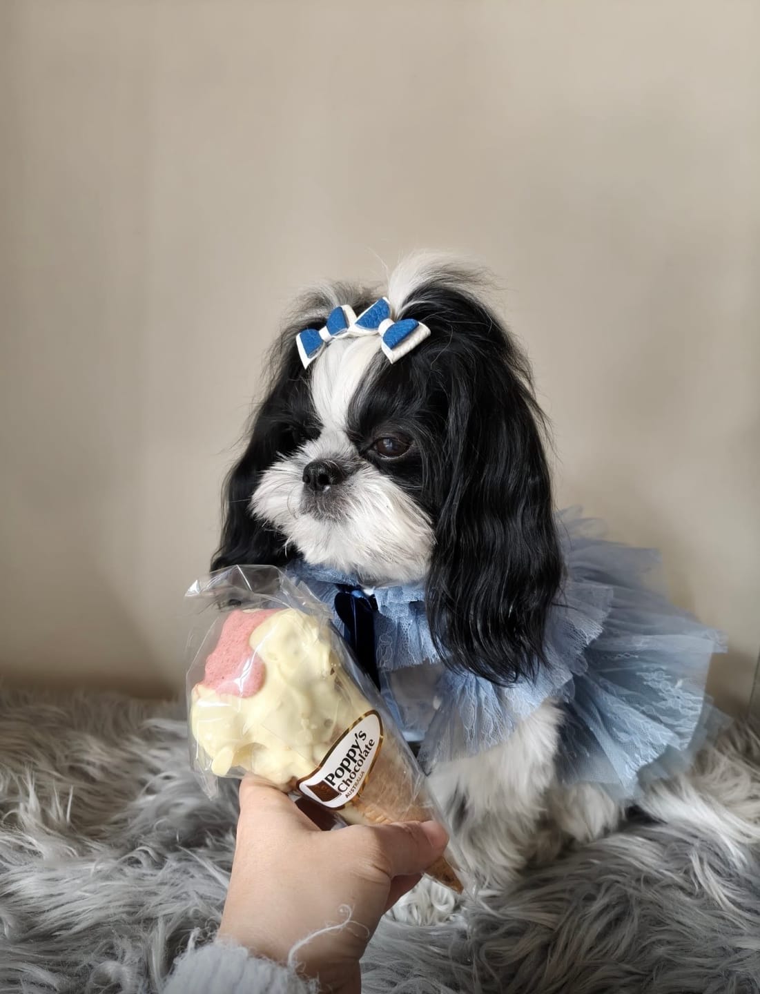 Customer photo review of Poppy's Deluxe Show Bag