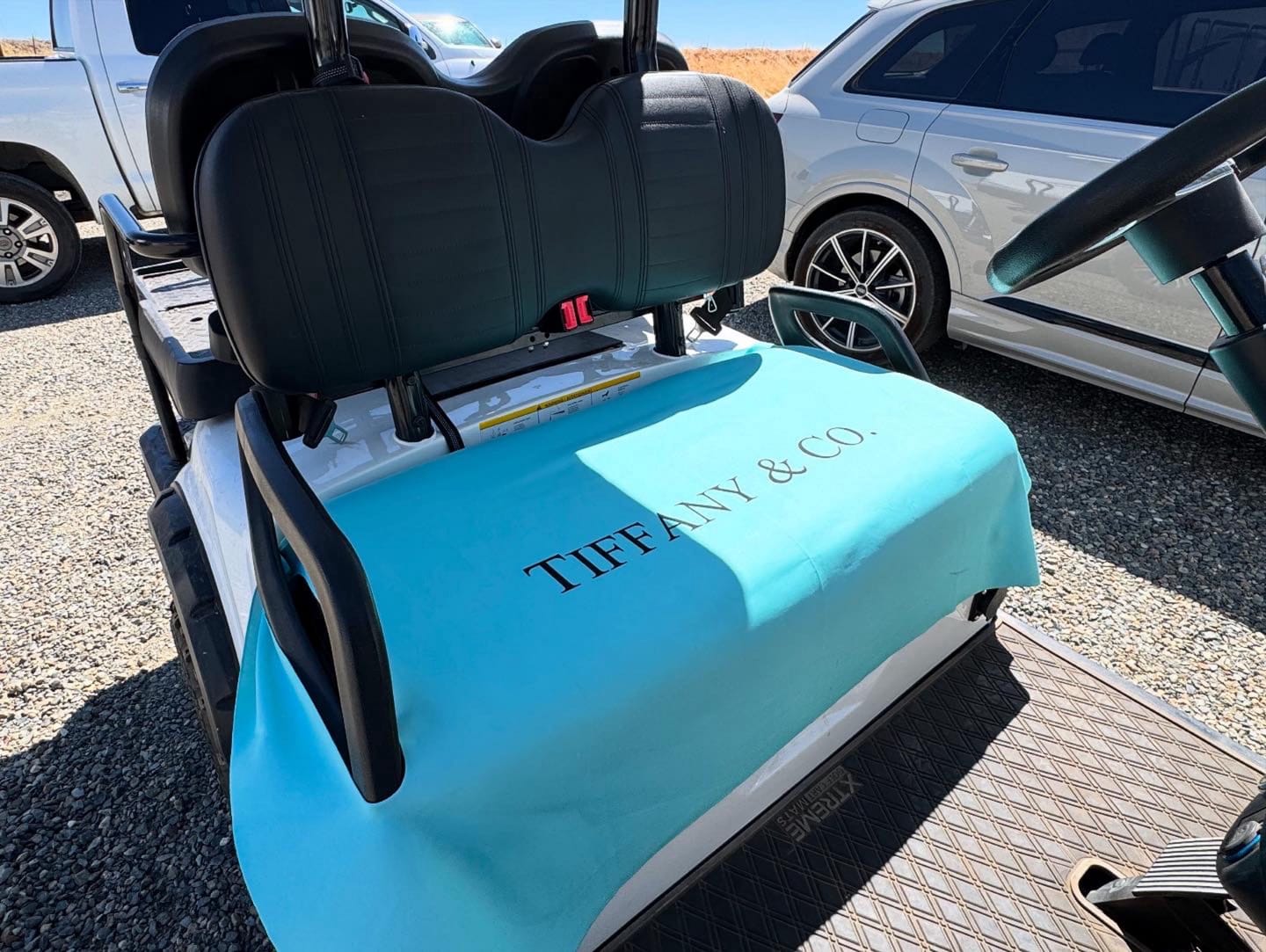 Customer photo review of Custom Fabric Golf Cart Seat Cover: Handmade in USA