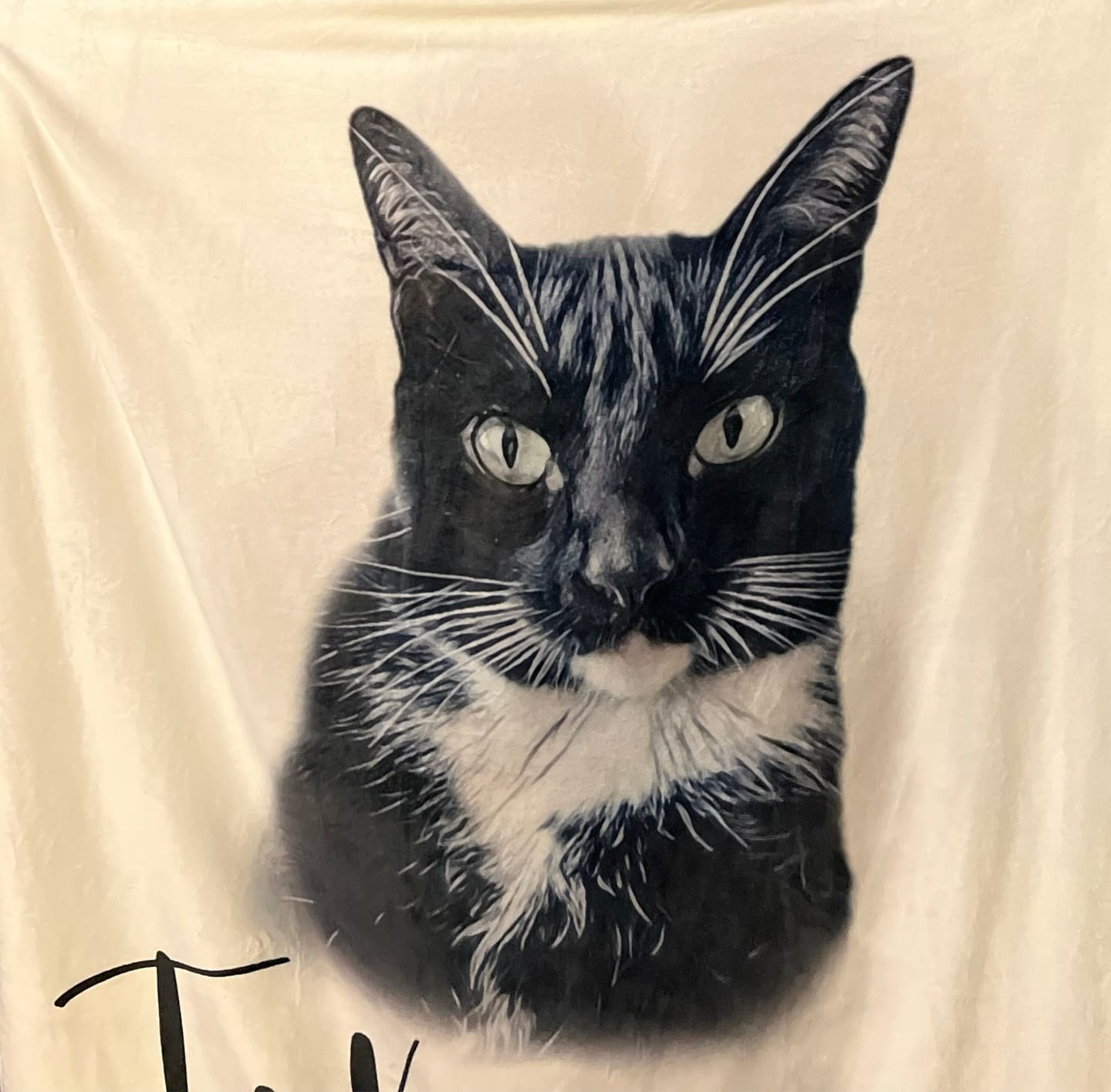 Customer photo review of Custom Pet Portrait Blanket: Personalized Dog or Cat Photo Blanket