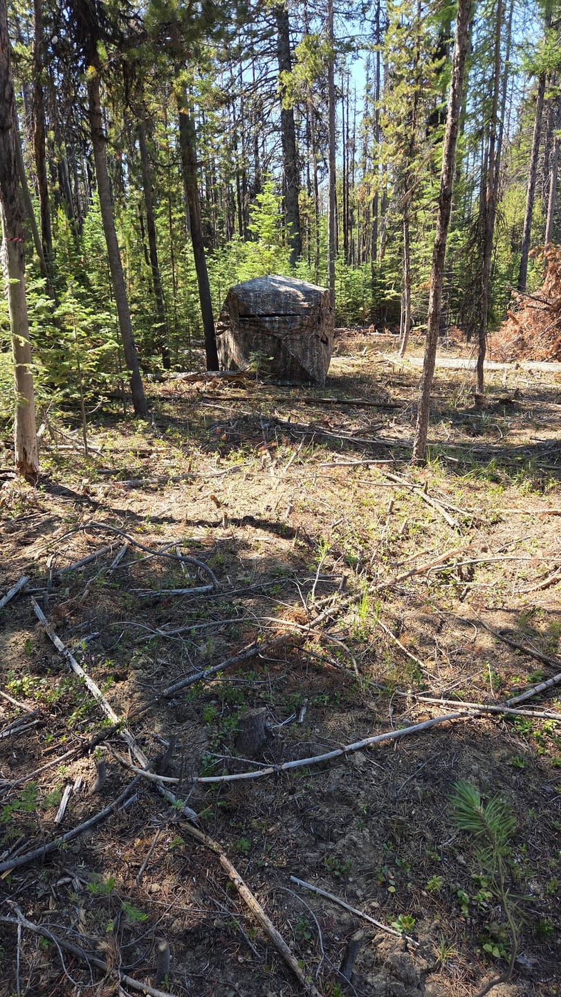 Customer photo review of VisX/VisMax See Through Hunting Blind, Pop Up Ground Deer Blind