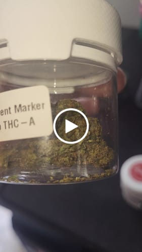 Customer video review of THC-A  50% Hash Ice o Lator